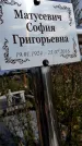 Захоронение ID 3581855