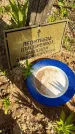 Захоронение ID 3581869