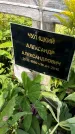 Захоронение ID 3581874