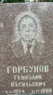 Захоронение ID 3581929