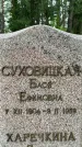 Захоронение ID 3581967