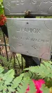 Захоронение ID 3581985