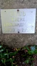 Захоронение ID 3582016