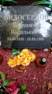 Захоронение ID 3582035