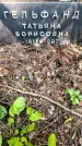 Захоронение ID 3582046