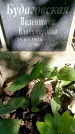 Захоронение ID 3582113