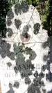 Захоронение ID 3582202
