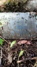 Захоронение ID 3582279