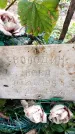 Захоронение ID 3582282