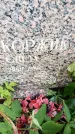 Захоронение ID 3582302