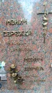 Захоронение ID 3582306