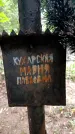 Захоронение ID 3582385