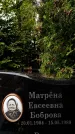 Захоронение ID 3582411