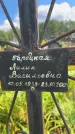 Захоронение ID 3582494