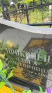 Захоронение ID 3582567