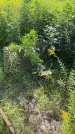 Захоронение ID 3582577