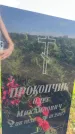 Захоронение ID 3582633