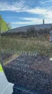 Захоронение ID 3582649