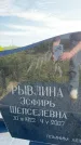 Захоронение ID 3582651