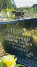 Захоронение ID 3582659