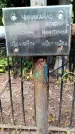 Захоронение ID 3582702