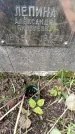 Захоронение ID 3582707