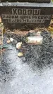 Захоронение ID 3582776