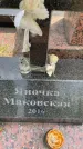 Захоронение ID 3582830