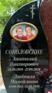 Захоронение ID 3582873