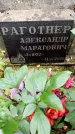 Захоронение ID 3582881