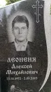 Захоронение ID 3582898