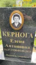Захоронение ID 3582948