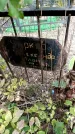 Захоронение ID 3582978