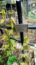 Захоронение ID 3582979