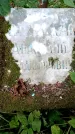 Захоронение ID 3582981