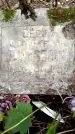 Захоронение ID 3582997