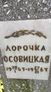 Захоронение ID 3583011
