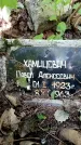 Захоронение ID 3583021