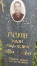 Захоронение ID 3583029