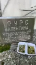 Захоронение ID 3583036