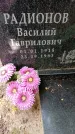 Захоронение ID 3583060