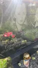Захоронение ID 3583074