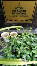 Захоронение ID 3583100