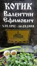 Захоронение ID 3583102