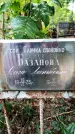 Захоронение ID 3583180