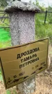 Захоронение ID 3583308