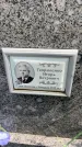 Захоронение ID 3583315