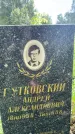 Захоронение ID 3583385