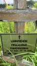 Захоронение ID 3583504