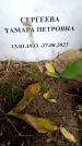 Захоронение ID 3583516
